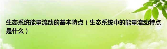 生态系统能量流动的基本特点（生态系统中的能量流动特点是什么）