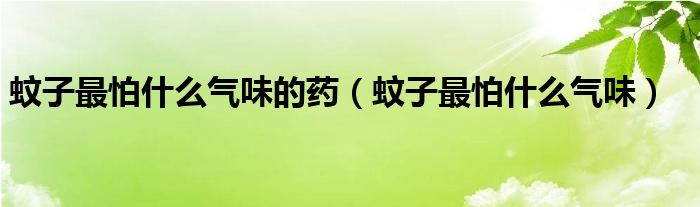 蚊子最怕什么气味的药（蚊子最怕什么气味）