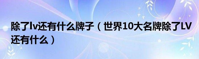 除了lv还有什么牌子（世界10大名牌除了LV还有什么）