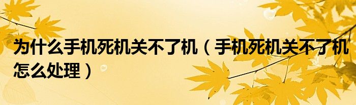 为什么手机死机关不了机（手机死机关不了机怎么处理）