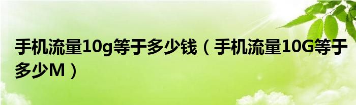 手机流量10g等于多少钱（手机流量10G等于多少M）