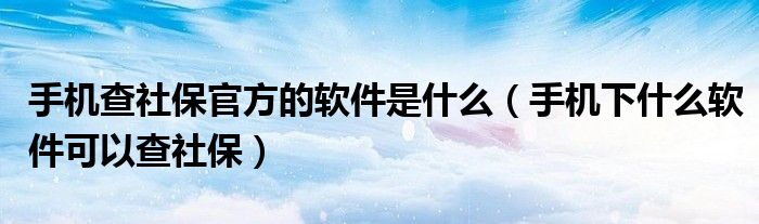 手机查社保官方的软件是什么（手机下什么软件可以查社保）