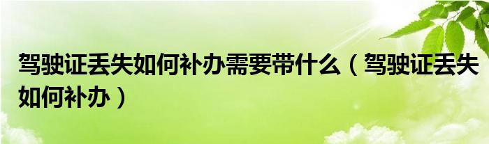 驾驶证丢失如何补办需要带什么（驾驶证丢失如何补办）