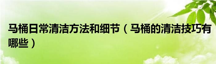 马桶日常清洁方法和细节（马桶的清洁技巧有哪些）