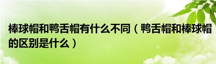 棒球帽和鸭舌帽有什么不同（鸭舌帽和棒球帽的区别是什么）