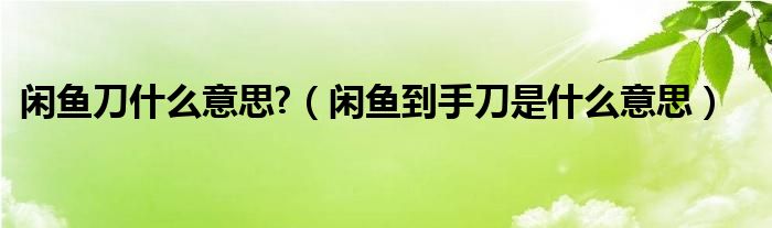 闲鱼刀什么意思?（闲鱼到手刀是什么意思）