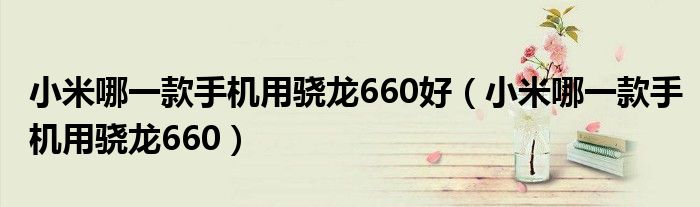 小米哪一款手机用骁龙660好（小米哪一款手机用骁龙660）