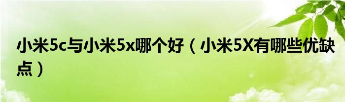 小米5c与小米5x哪个好（小米5X有哪些优缺点）