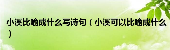 小溪比喻成什么写诗句（小溪可以比喻成什么）