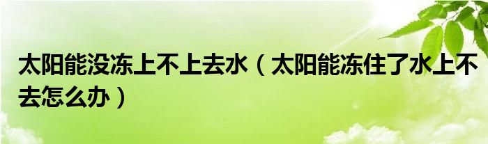 太阳能没冻上不上去水（太阳能冻住了水上不去怎么办）