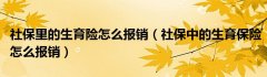 社保里的生育险怎么报销（社保中的生育保险怎么报销）