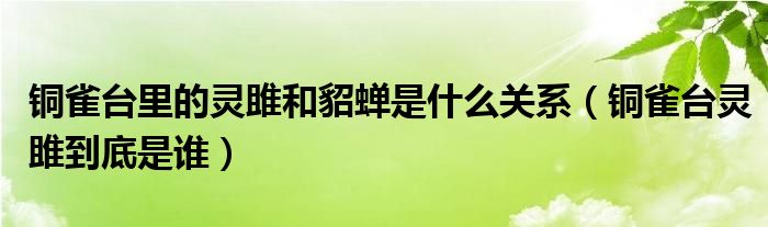 铜雀台里的灵雎和貂蝉是什么关系（铜雀台灵雎到底是谁）