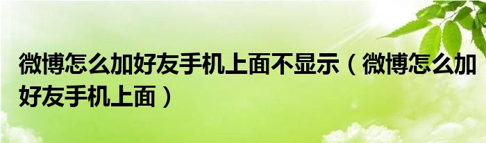 微博怎么加好友手机上面不显示（微博怎么加好友手机上面）