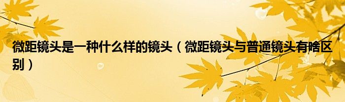 微距镜头是一种什么样的镜头（微距镜头与普通镜头有啥区别）