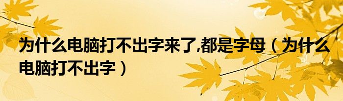 为什么电脑打不出字来了,都是字母（为什么电脑打不出字）