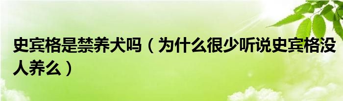 史宾格是禁养犬吗（为什么很少听说史宾格没人养么）