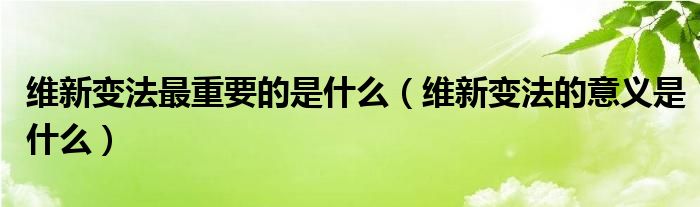 维新变法最重要的是什么（维新变法的意义是什么）