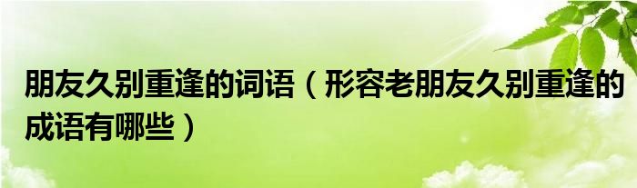 朋友久别重逢的词语（形容老朋友久别重逢的成语有哪些）