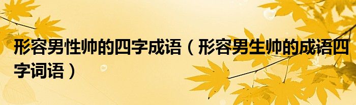 形容男性帅的四字成语（形容男生帅的成语四字词语）