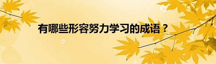 有哪些形容努力学习的成语？