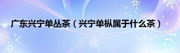 广东兴宁单丛茶（兴宁单枞属于什么茶）