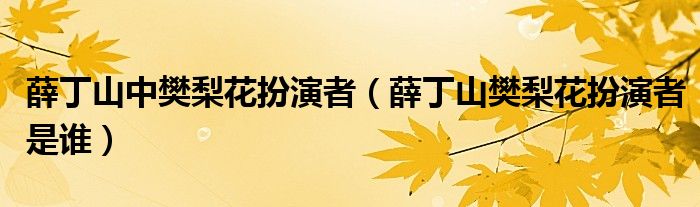 薛丁山中樊梨花扮演者（薛丁山樊梨花扮演者是谁）