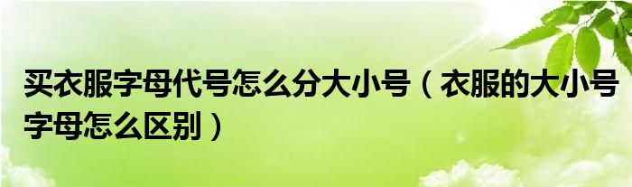 买衣服字母代号怎么分大小号（衣服的大小号字母怎么区别）