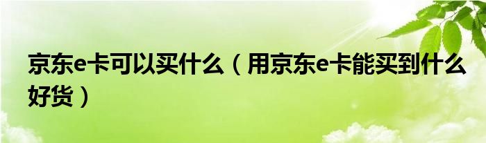 京东e卡可以买什么（用京东e卡能买到什么好货）