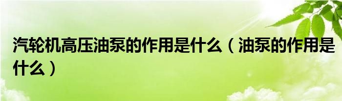 汽轮机高压油泵的作用是什么（油泵的作用是什么）