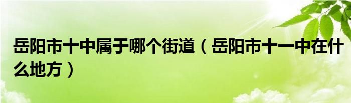 岳阳市十中属于哪个街道（岳阳市十一中在什么地方）