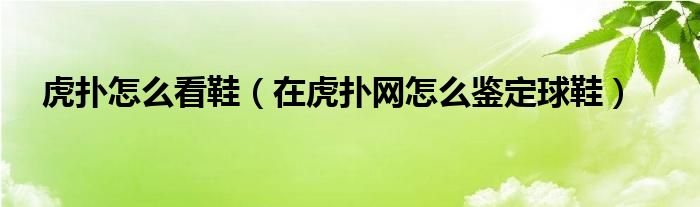 虎扑怎么看鞋（在虎扑网怎么鉴定球鞋）