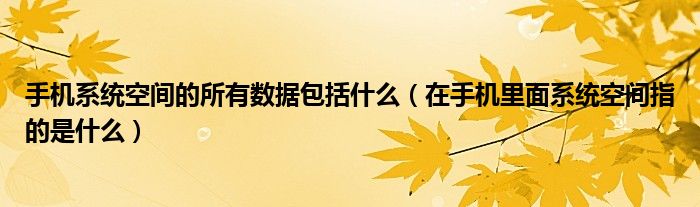 手机系统空间的所有数据包括什么（在手机里面系统空间指的是什么）