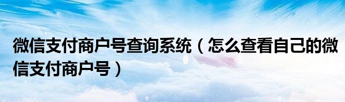 微信支付商户号查询系统（怎么查看自己的微信支付商户号）