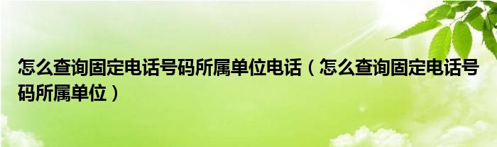 怎么查询固定电话号码所属单位电话（怎么查询固定电话号码所属单位）