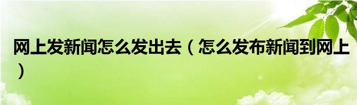 网上发新闻怎么发出去（怎么发布新闻到网上）