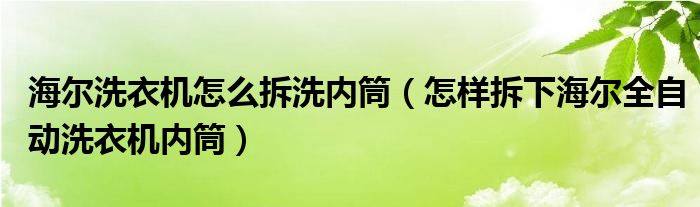 海尔洗衣机怎么拆洗内筒（怎样拆下海尔全自动洗衣机内筒）