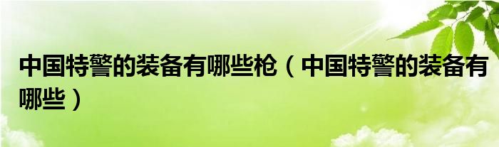 中国特警的装备有哪些枪（中国特警的装备有哪些）