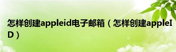 怎样创建appleid电子邮箱（怎样创建appleID）