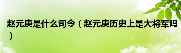 赵元庚是什么司令（赵元庚历史上是大将军吗）