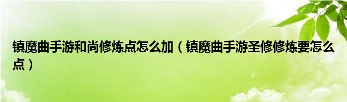 镇魔曲手游和尚修炼点怎么加（镇魔曲手游圣修修炼要怎么点）