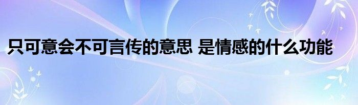 只可意会不可言传的意思 是情感的什么功能