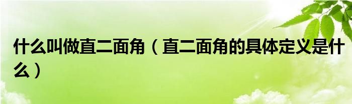 什么叫做直二面角（直二面角的具体定义是什么）