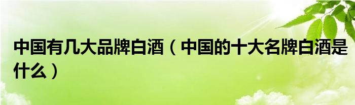 中国有几大品牌白酒（中国的十大名牌白酒是什么）