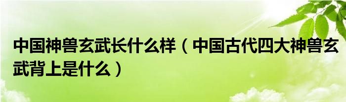 中国神兽玄武长什么样（中国古代四大神兽玄武背上是什么）