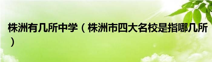 株洲有几所中学（株洲市四大名校是指哪几所）