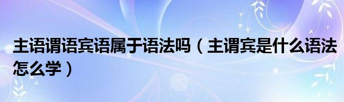 主语谓语宾语属于语法吗（主谓宾是什么语法怎么学）