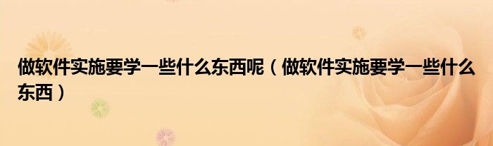 做软件实施要学一些什么东西呢（做软件实施要学一些什么东西）