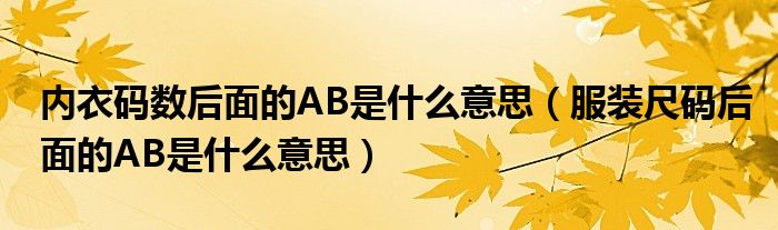 内衣码数后面的AB是什么意思（服装尺码后面的AB是什么意思）