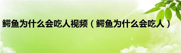 鳄鱼为什么会吃人视频（鳄鱼为什么会吃人）