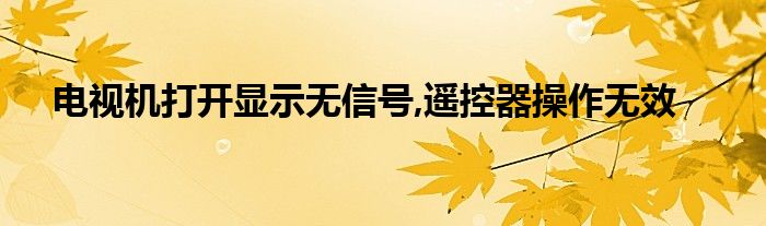 电视机打开显示无信号,遥控器操作无效